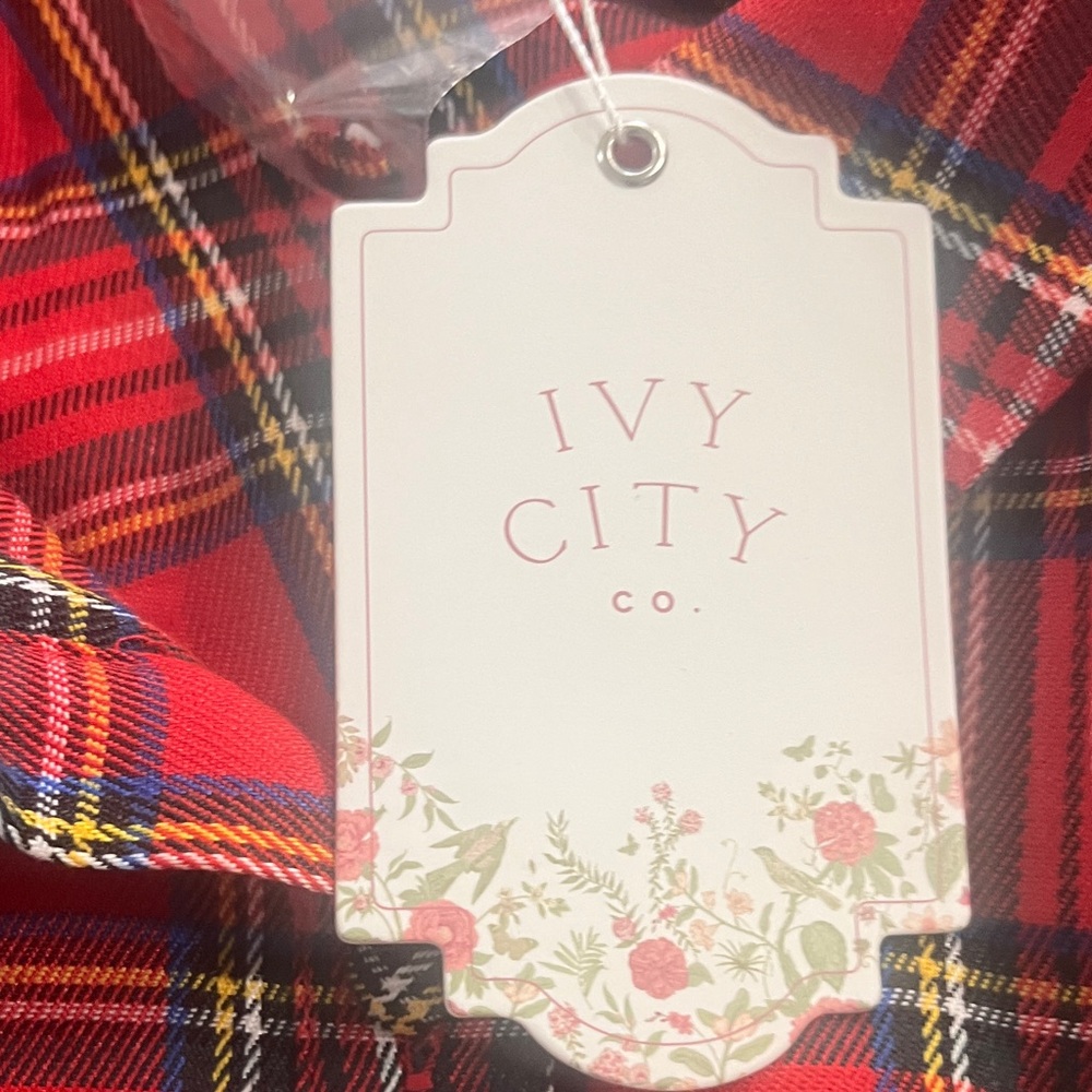 Ivy City Co Red and Blue Plaid Dress